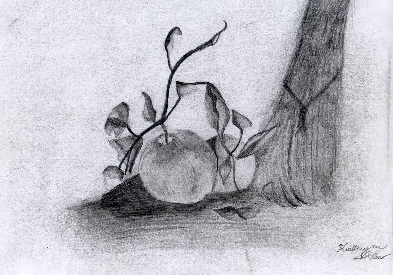 Warsztaty artystyczne: KATARZYNA SIĘBOR Martwa natura z jabłkiem, ołówek