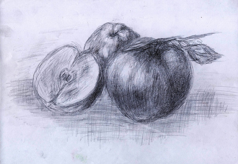 Warsztaty artystyczne: ANONIM, jabłka, ołówek, papier