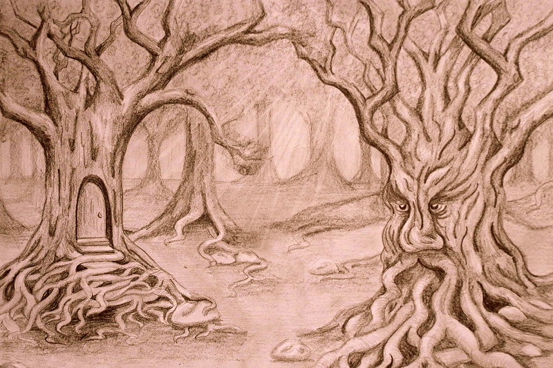 Alicja Nowicka Magiczne Drzewa, ołówek, papier