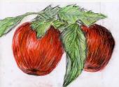 Warsztaty artystyczne: KATARZYNA RACZYŃSKA Jabłka, pastel