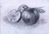 Warsztaty artystyczne: ANONIM, jabłka, ołówek, papier