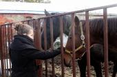 03-img_5057