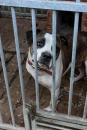 04-img_5059