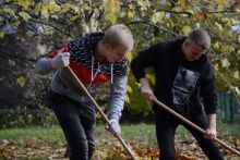 Akcja liść listopad 2019
