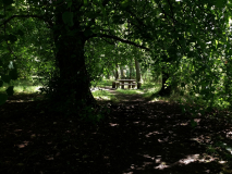 Gabriela-Maciak-3c-15-pkt