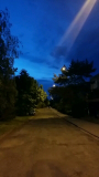 Kostrzewa-Dominika-2d-16-pkt