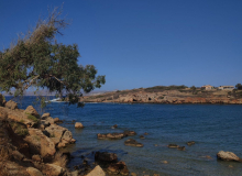 Amelia-Domin-2g-15-pkt