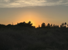 Julia-Plebanczyk 2e-18-pkt