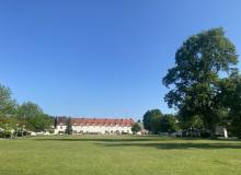 Krzyżowa czerwiec 2024