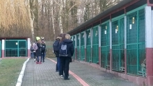 Wizyta w schronisku grudzień 2018