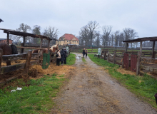 18.04.2024 wycieczka do Schroniska dla Koni  "Tara" w Piskorzynie