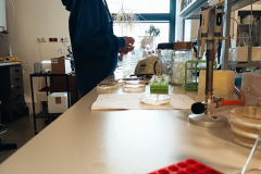 Projekt badawczy Antoniny