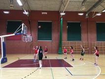 Mistrzostwa w koszykówce dziewcząt - Podstrefa Legnicka luty 2020