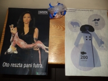 Światowy Dzień Zwierząt