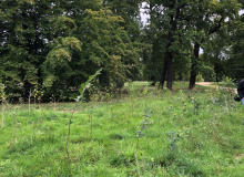 projekt-Young Climate Action for World Heritage