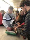 Projekt Unesco - Young Climate Action for World Heritage