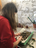 Projekt Unesco - Young Climate Action for World Heritage
