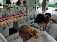 Zajecia-laboratoryjne-2C-kwiecien