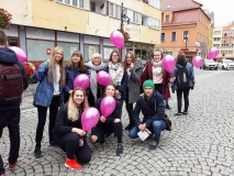 Marsz ku zdrowiu zorganizowany przez Ruch Kobiet do Walki z Rakiem Piersi Europa Donna