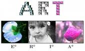ARTERIA 2014/2015