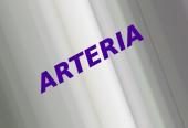 ARTERIA 2011/2012
