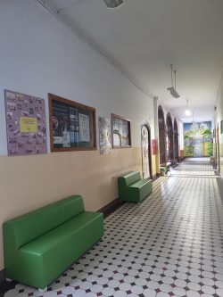SBO 